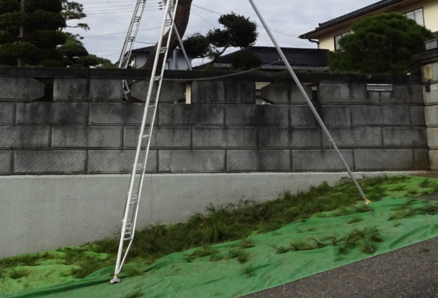 剪定作業で使う大型シート