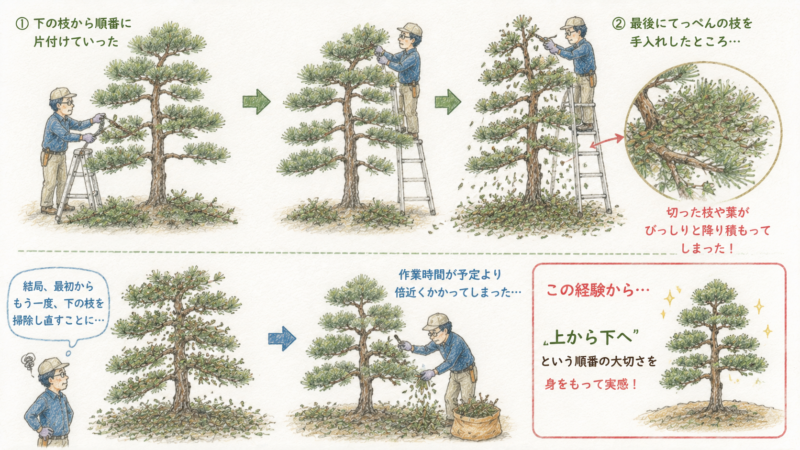 松の手入れを下からやるとに土手間になる
