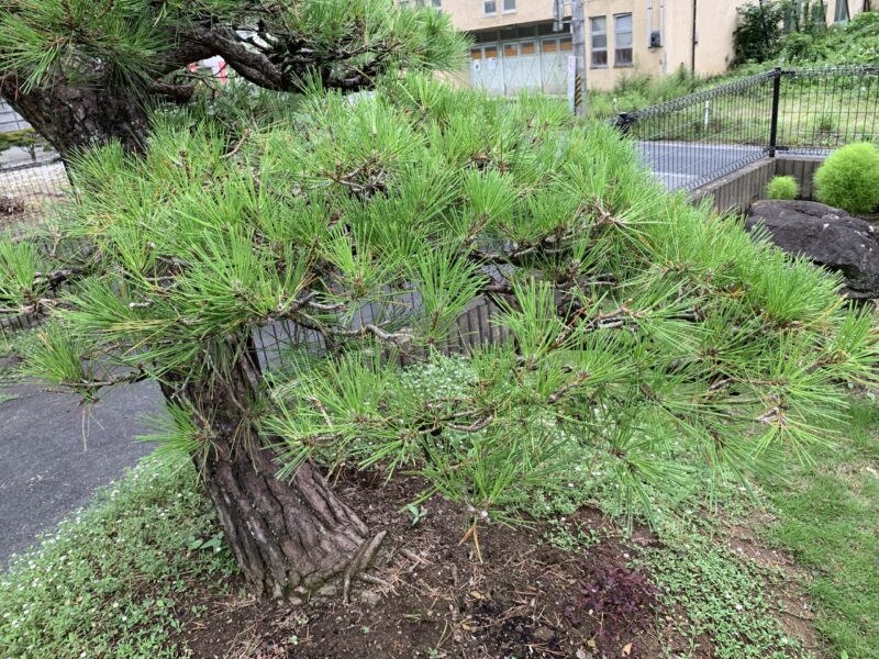 やめ時を意識して8割でやめる
